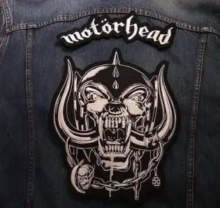 Jacket Back Digitizing