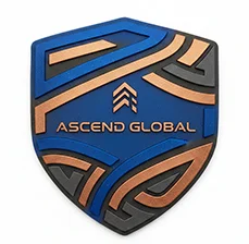 Raised silicon - Portfolio