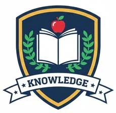 Vector Art - Portfolio